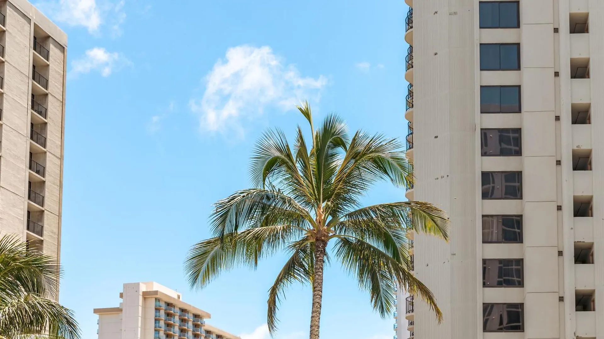 Tropical Retreat Near Waikiki Beach With Parking Honolulu Apartment