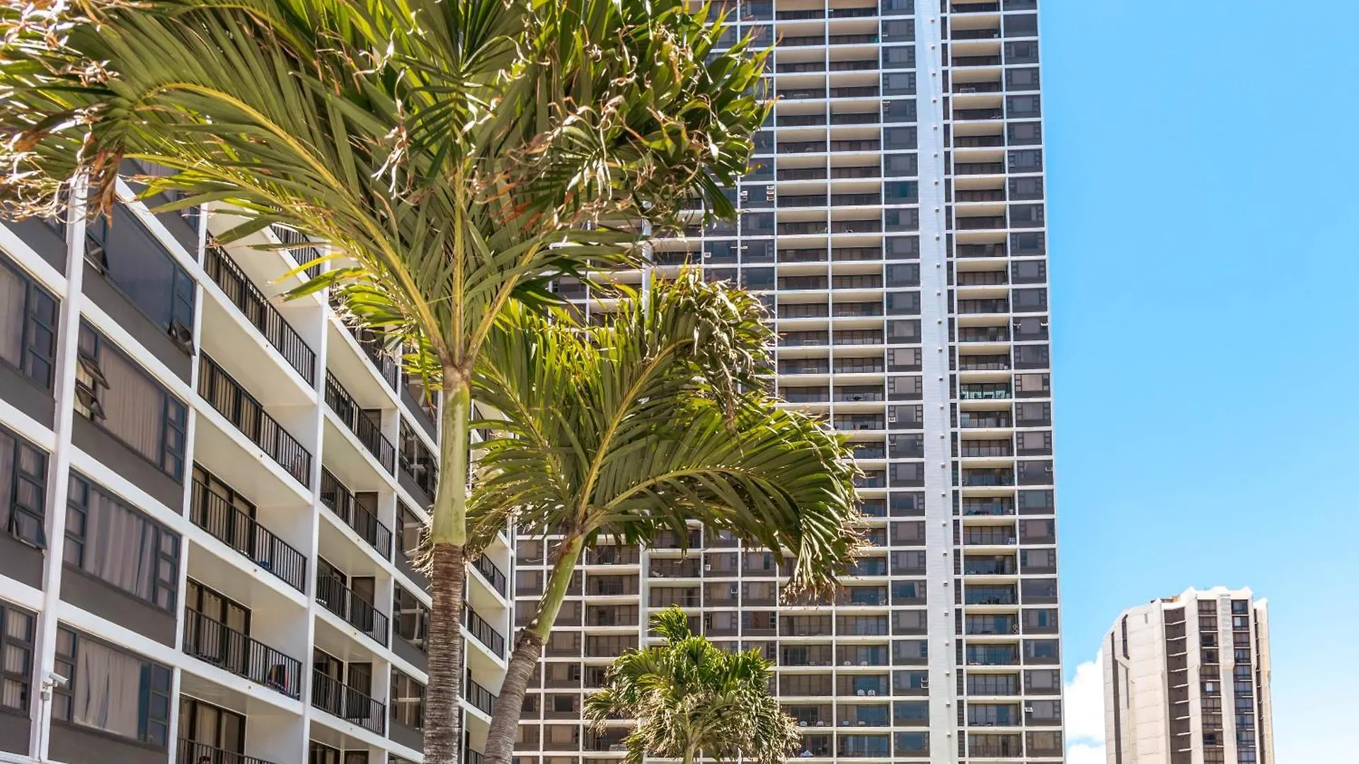 Tropical Retreat Near Waikiki Beach With Parking Honolulu Apartment