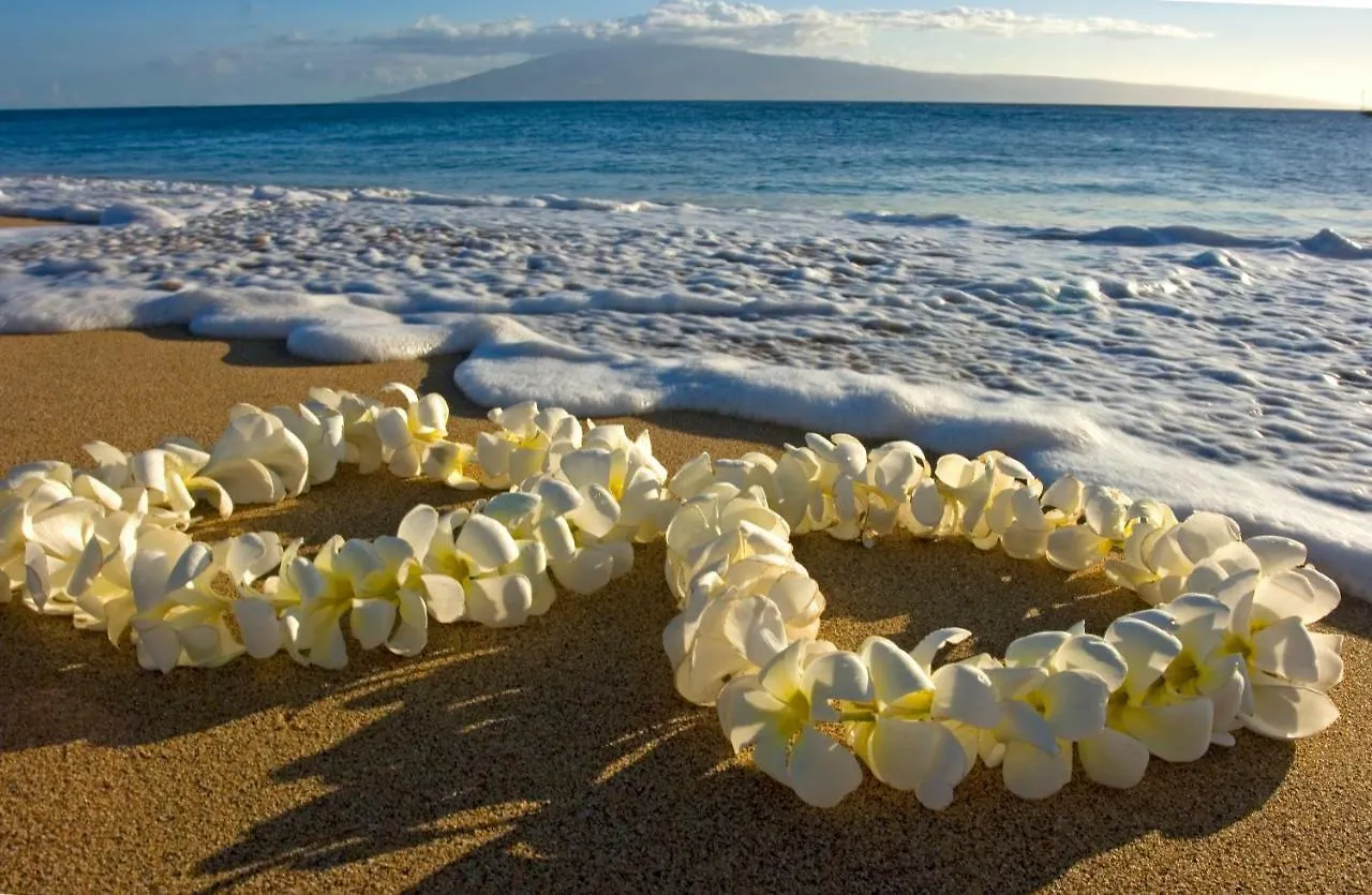 Tropical Retreat Near Waikiki Beach With Parking Honolulu